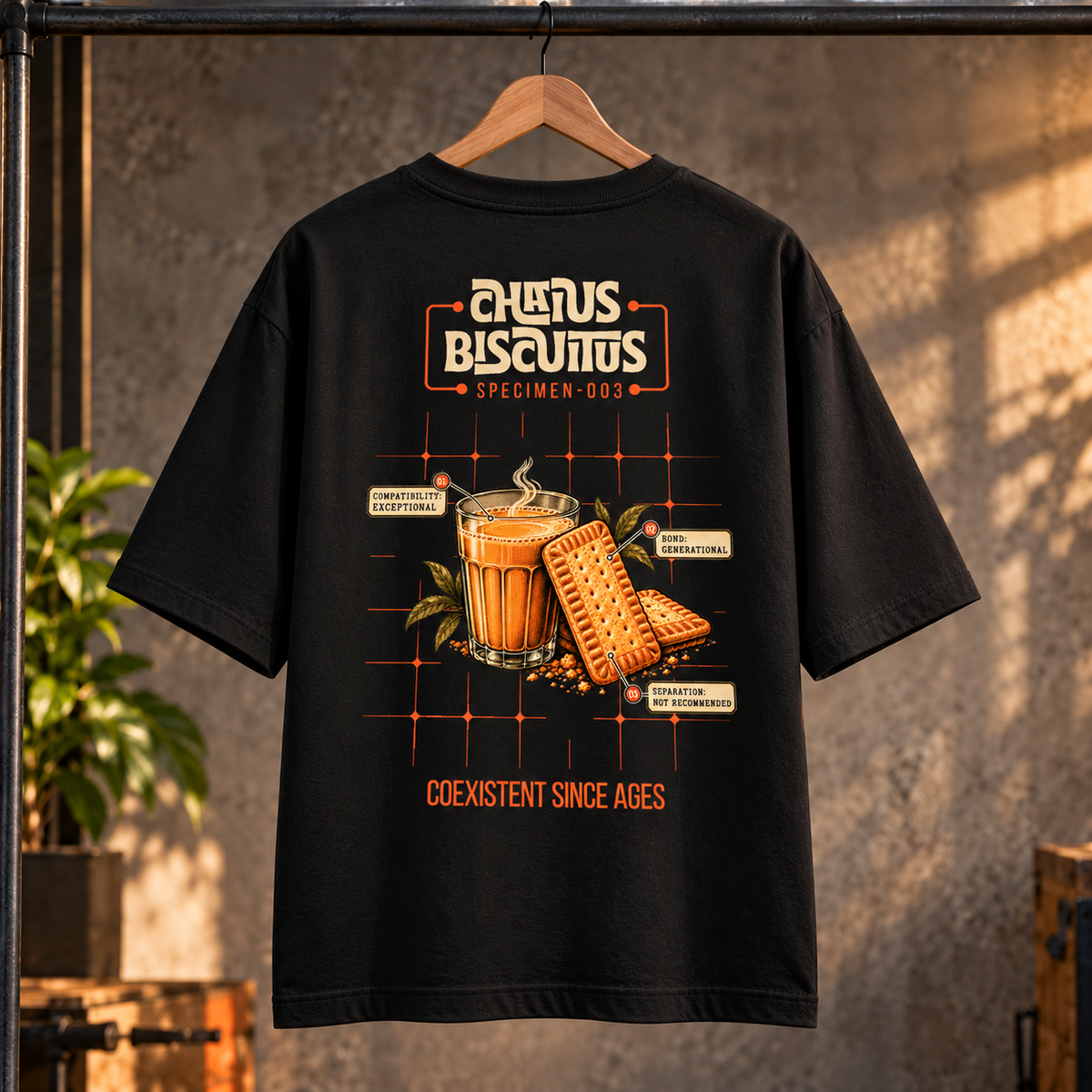 Chaius × Biscuitus